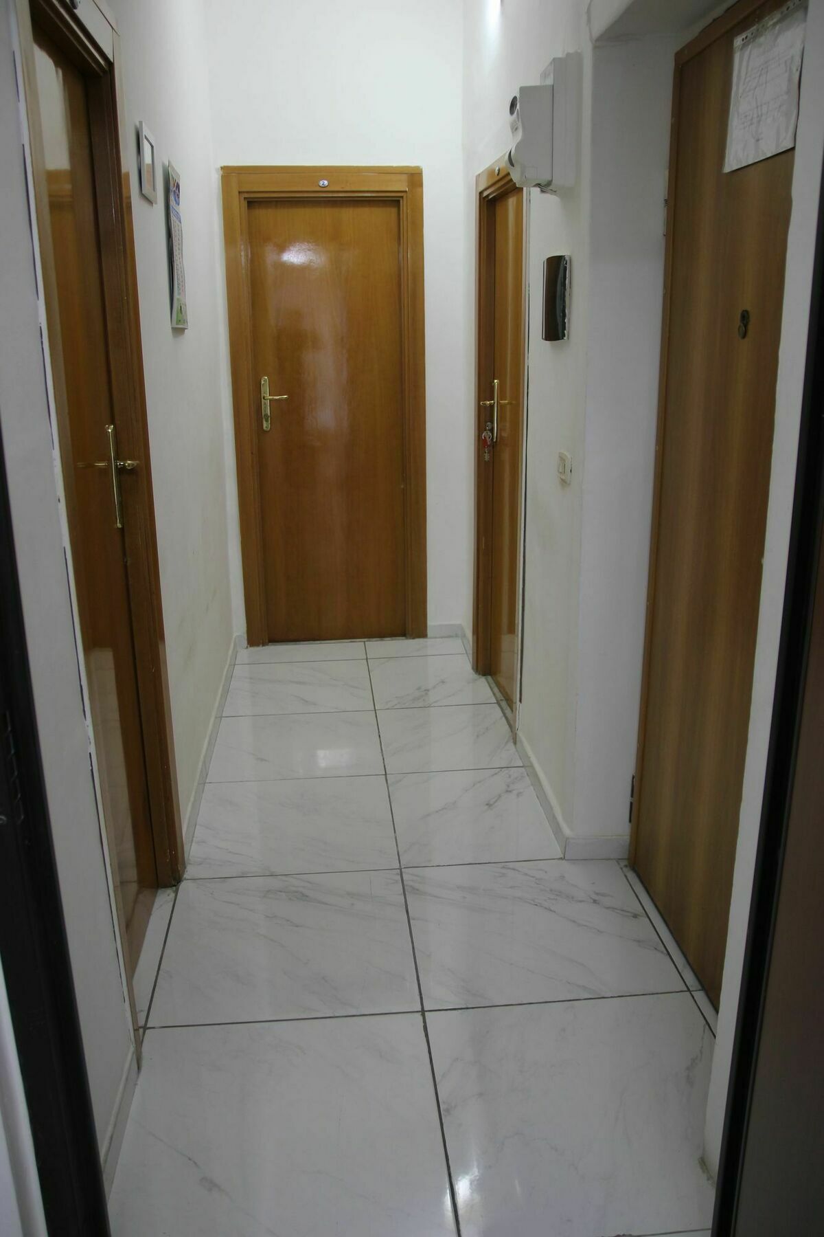Elia Naples